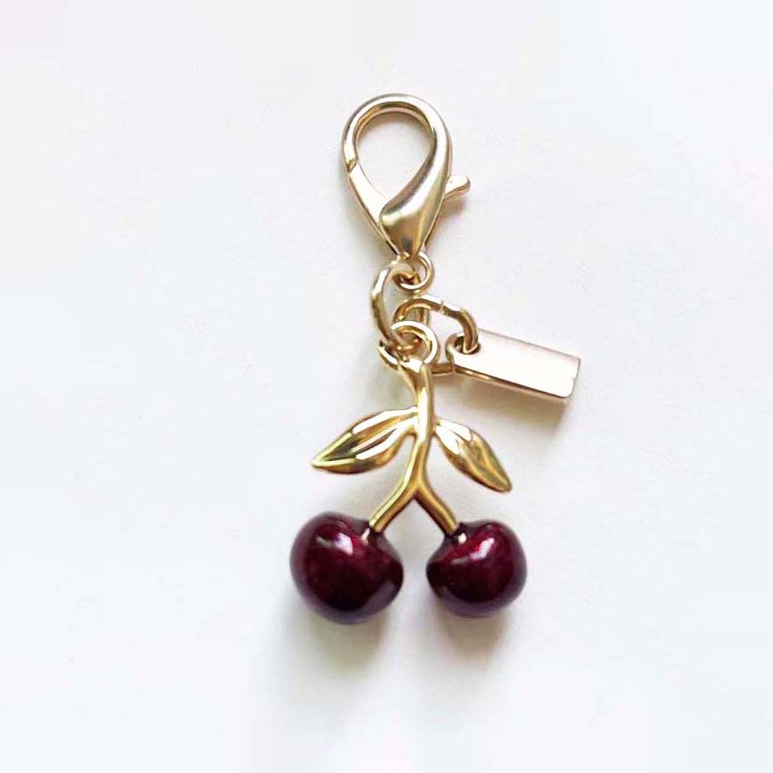 Bag Charm Keychain for Women Decorative Pendant cessory Metal Buckle Ring Cute Keychains with Box L250928ZH07