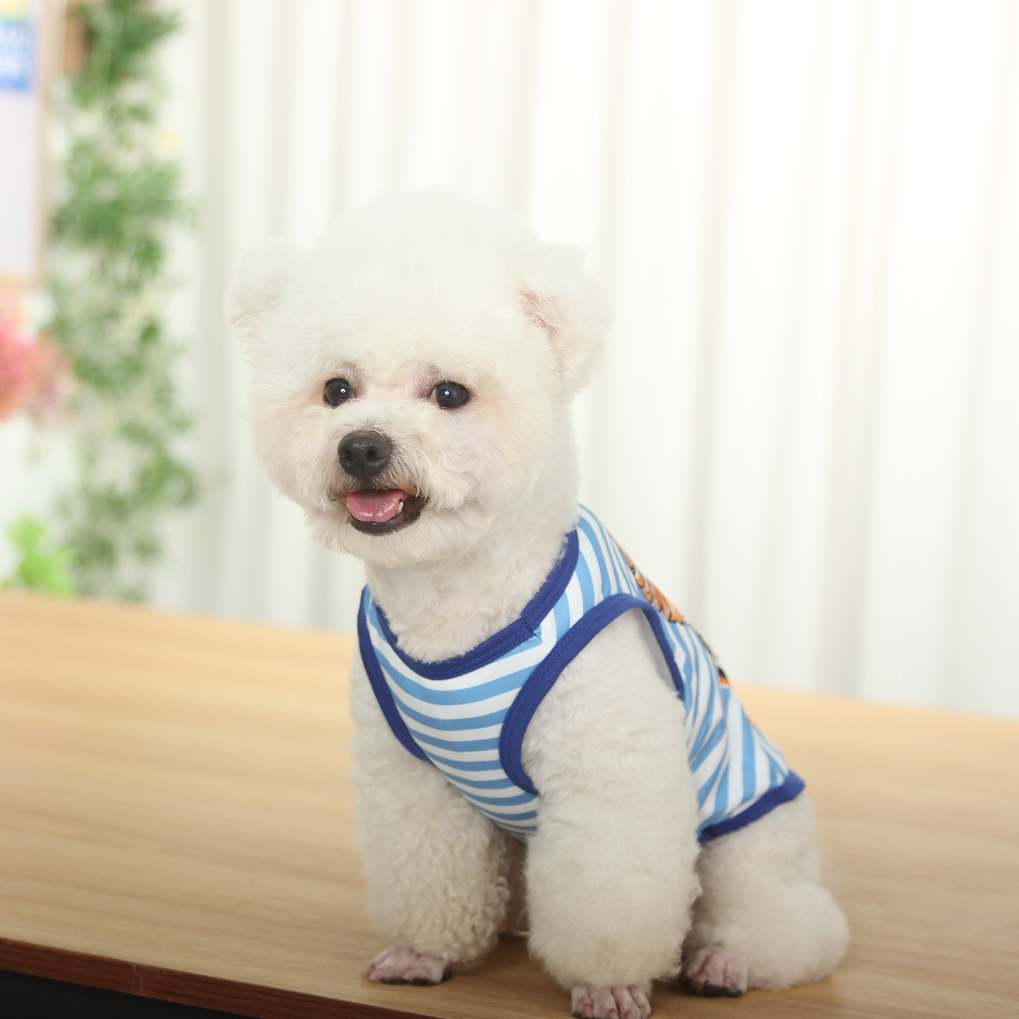Dog Birthday Gift Clothes Girl Boy Birthday Print T-Shirt for Small Medium Dog Birthday Party Vest, Doggy Boy Girl Happy Birthday XS A571