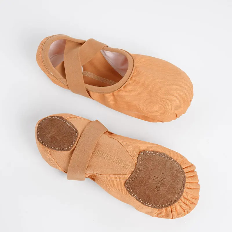 Girls Women Ballet Shoes Stretch Fabric Dance Shoe Single Shoelace Dancing Slippers Ballet Flats Elastic Soft Sole Dance Shoes 250613