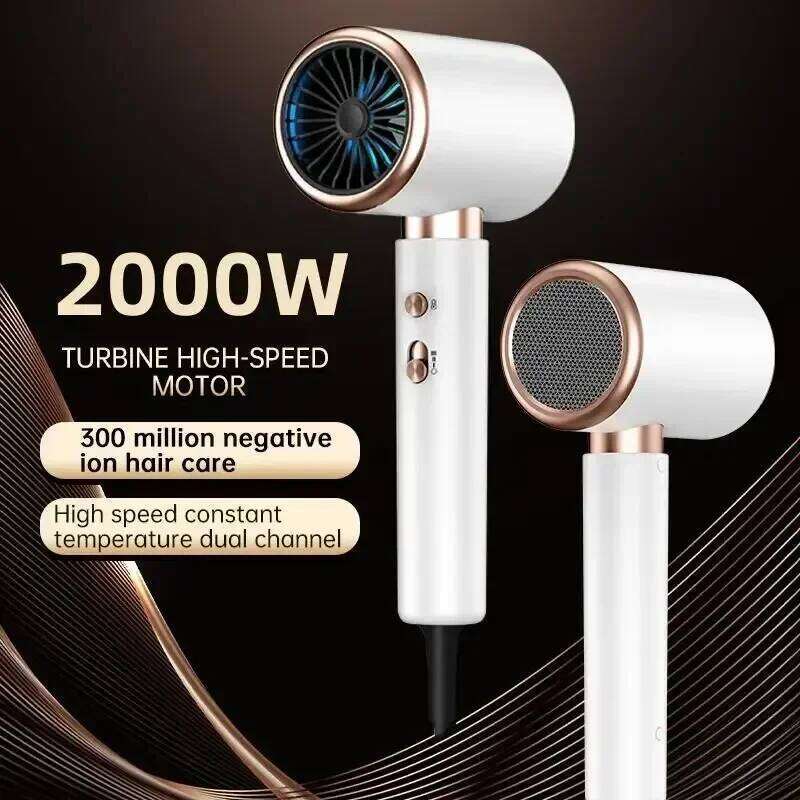 Professional Hair Dryer Turbo Ionic 1875W, Low Noise Constant Temp Fast Drying, Lightweight for Home Salon Travel 110V-240V