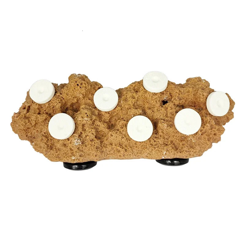 Reefing Art Aquarium Marine Fish Tank Magnetic Real Reef Frag Rack 250613