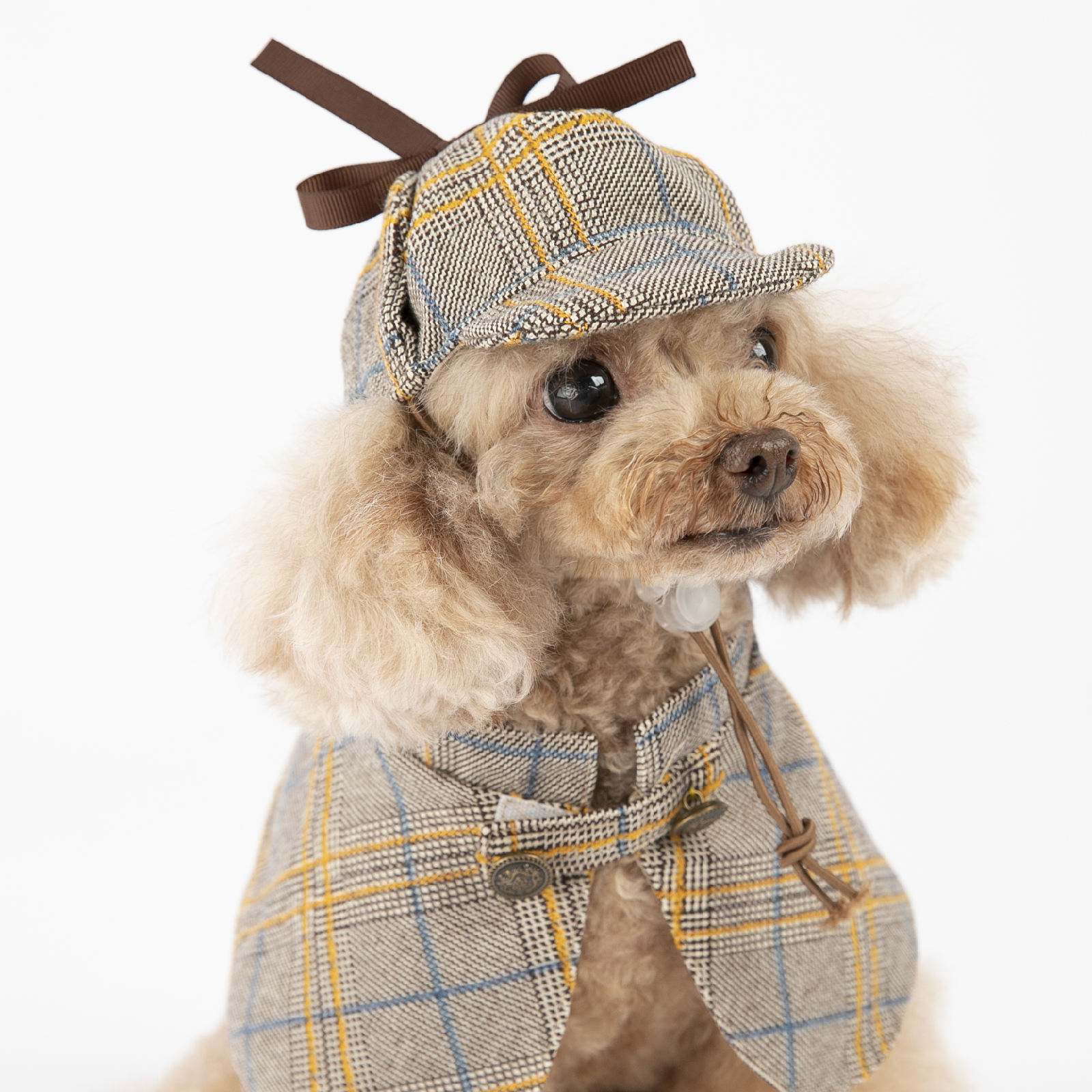Dog Costume-Cute Detective Pet Clothes Set Halloween Cosplay Party Outfit Winter Fashion Cape Cloak Hat for Small Medium Dog, Cat Kitten XXL A572
