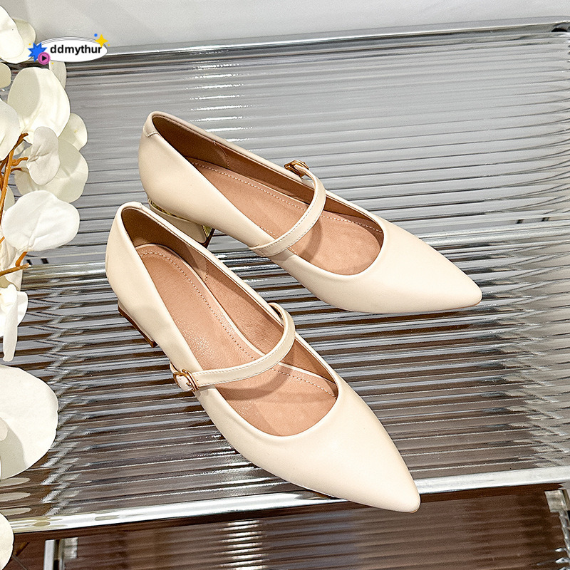 2024 New Spring Summer One-Strap Chunky Heel Mary Jane Women's Fashion Soft Leather Pointed Toe Shallow Mouth Mid-High Single Shoes Women ddmythu