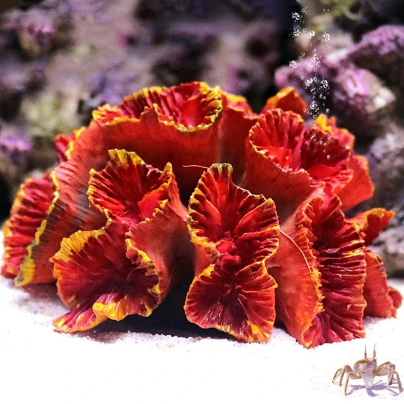 Aquarium Coral Ornaments DIY Fish for Tank Decoration Artificial Reef Colorful Resin Ornament Eco-friendly Safe and Harm 250613
