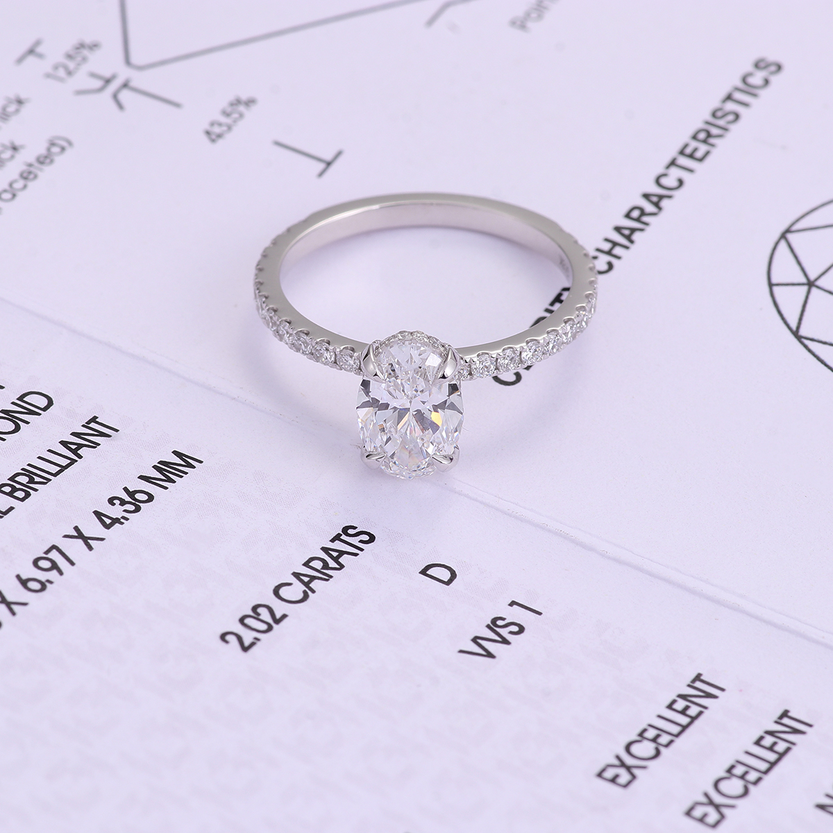 Provence Luxurious 18K White Gold D VVS1 Lab Grown Diamond Ring Fine Jewelry Rings Original Design Custom Jewelry Engagement Rings for Women