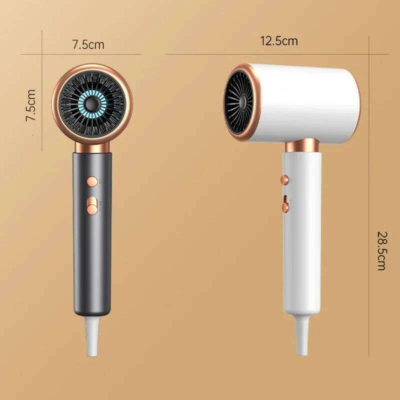Professional Hair Dryer Turbo Ionic 1875W, Low Noise Constant Temp Fast Drying, Lightweight for Home Salon Travel 110V-240V