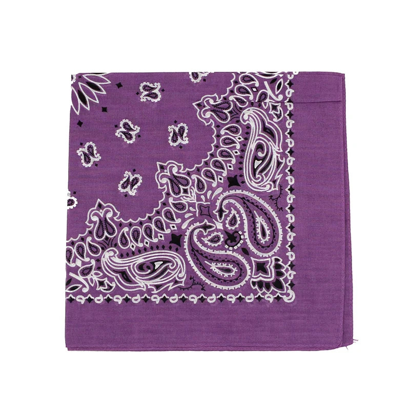 Hip-hop Men Bandana Scarf Printed Paisley In Blue Green Purple Color Cotton Headband Handkerchiefs 250617