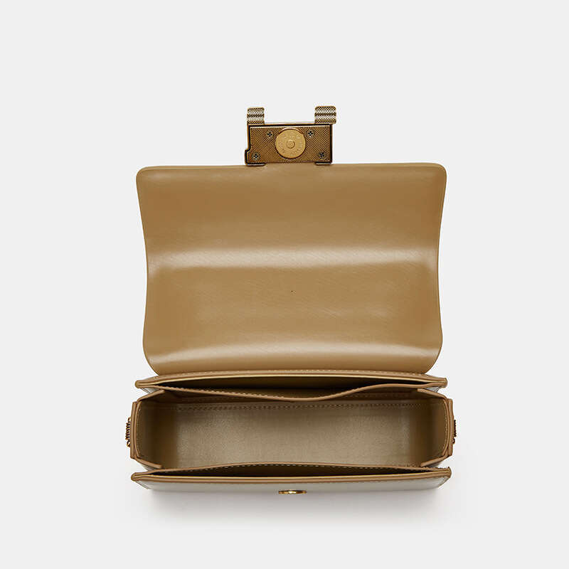 Trendy High-End Handbag New Fashion Light Luxury Chain Small Square Popular Style Women's Bag