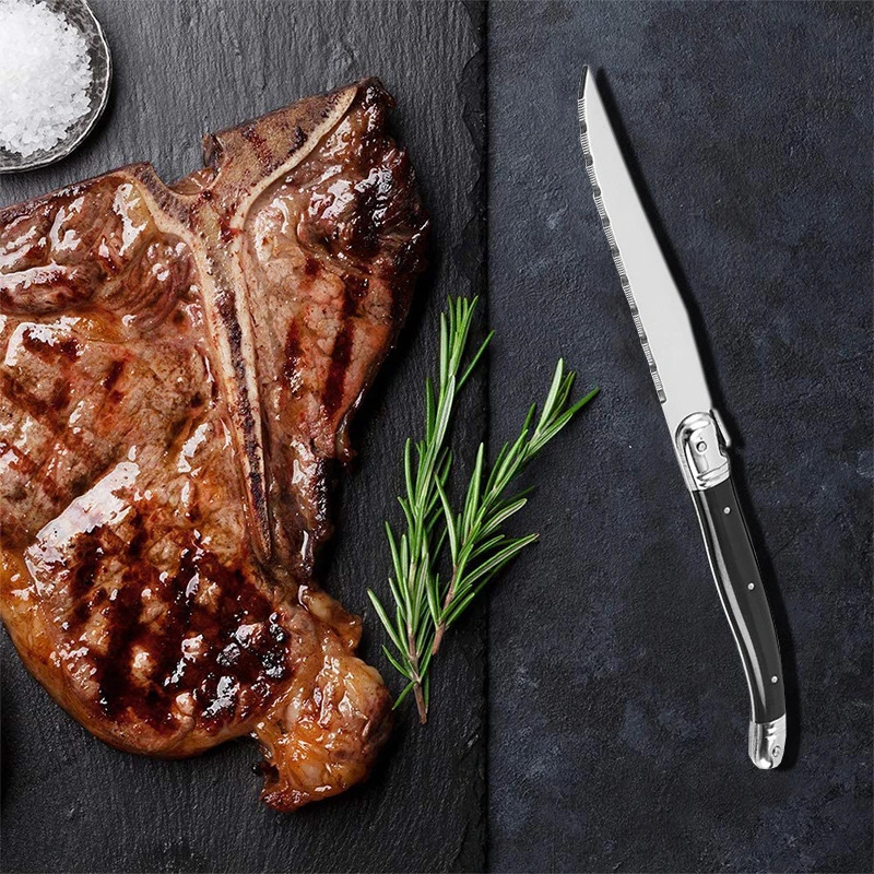 8 Laguiole Style Black Steak Knives and Forks Stainless Steel Dinner Fork Plastic Handle Table Knives Dinnerware set 2-10pcs 250618