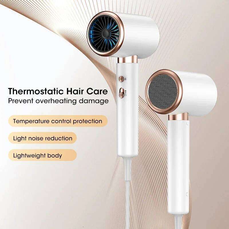 Professional Hair Dryer Turbo Ionic 1875W, Low Noise Constant Temp Fast Drying, Lightweight for Home Salon Travel 110V-240V