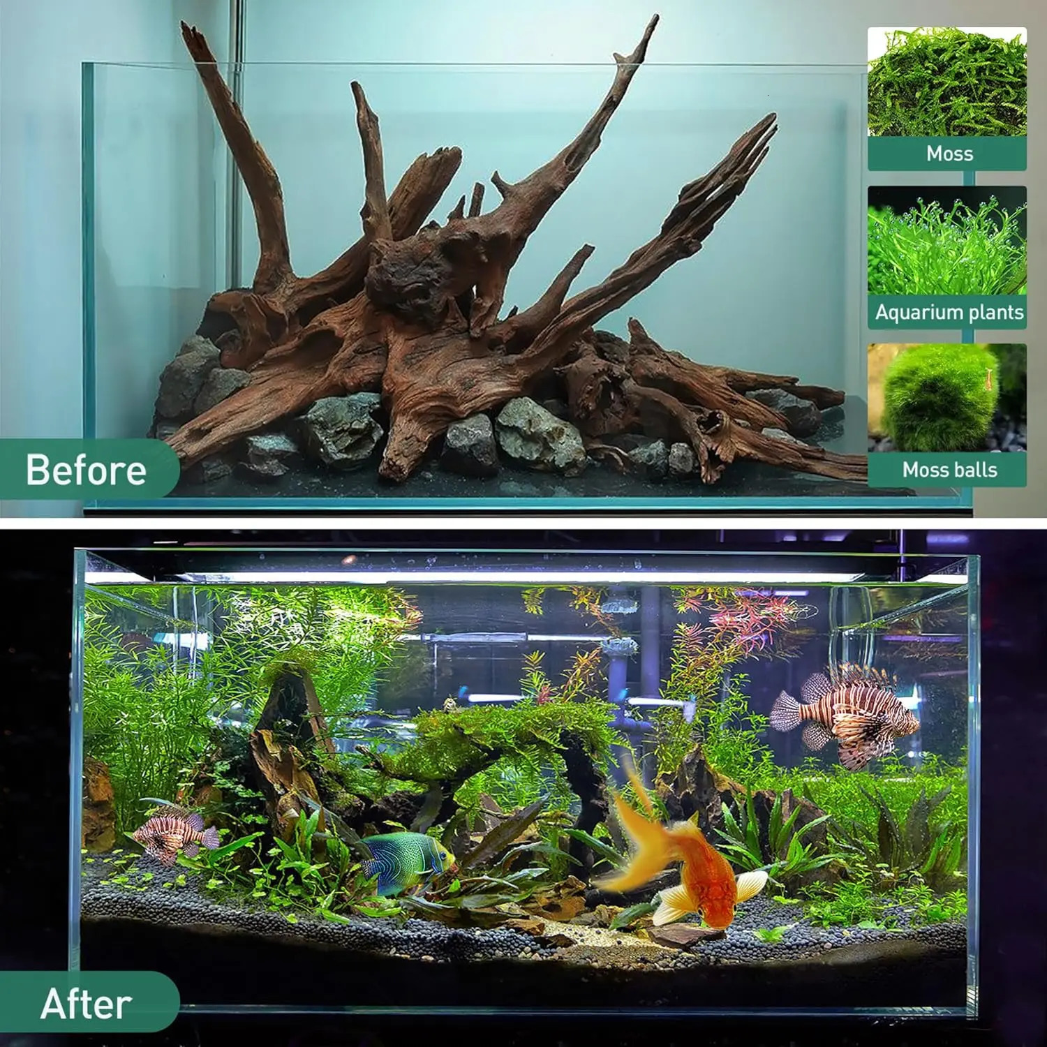 Natural Trunk Driftwood decoration for aquarium branches drift wood large driftwood fishtank ornaments aquariofilia 250613