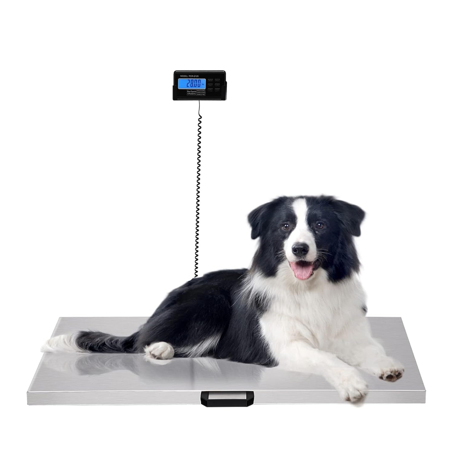 Digital Veterinary Scale Large Platform Livestock Animal Scale with Power Adapter for Pets Cattle Dogs Cats Vet Clinic Farm Use