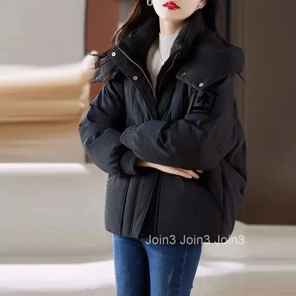 Jackets Loose Casual Parkas Woman Solid Color Zip-up Modern New in Outerwears Coats for Women Luxury Hot Outdoor Clothes Cold