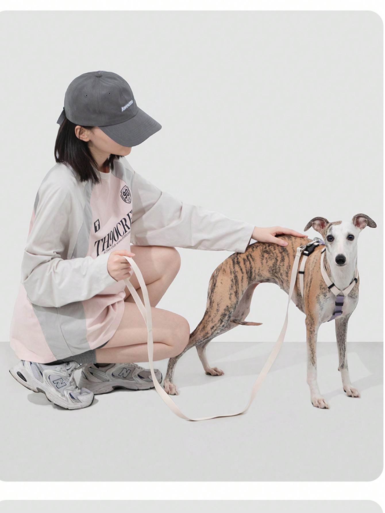 Random 1 Set Of 2 Colors X-Shape Anti-Pull Pet Harness And Leash For Small Dogs