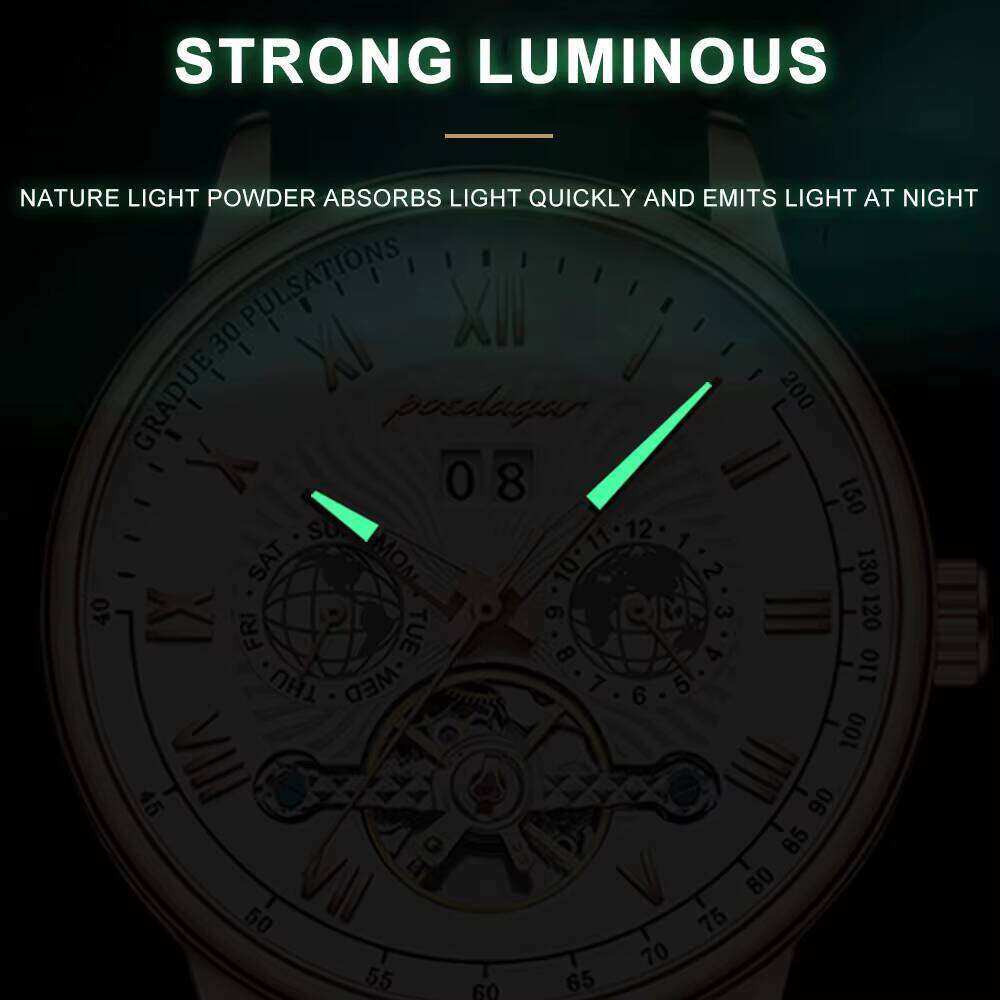 DHgargets Automatic Mechanical Tourbillon Business Casual Date&Week&Month Luminous Waterproof Leather Men Watch Hot Relojes