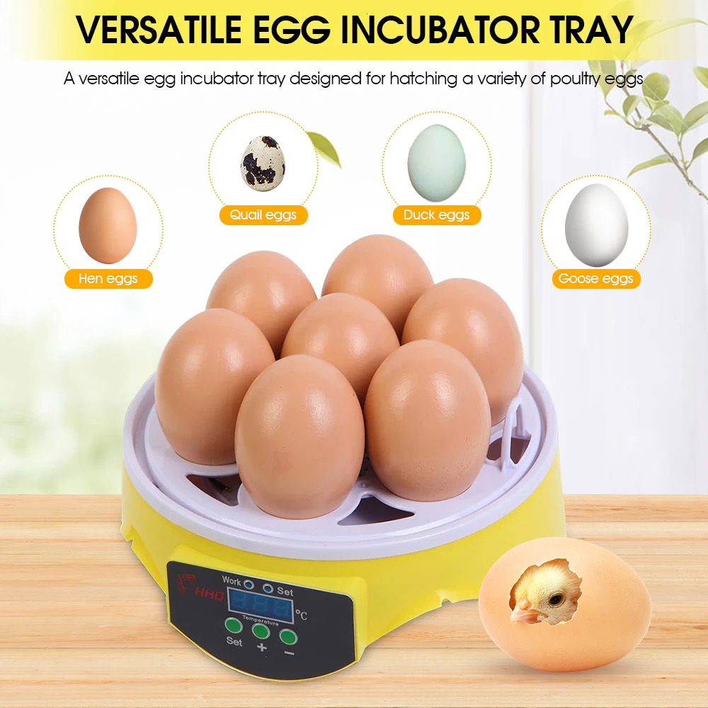 Intelligent Small-Sized 7-Piece Automatic Constant Temperature Incubator For Incubating Chickens Ducks And Quails. 250624