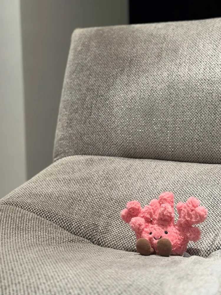 Adorable Jelly Pink Coral Plush Toys Coral Stuffed Dolls Kaii Room Decor Toy Soft Sofa Cushion Kids Birthday Gifts XJ250619