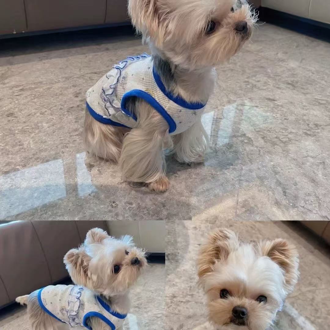 T517Dog clothes vest spring and autumn thin cat cat Pomeranian Bichon small puppy Teddy spring and summer