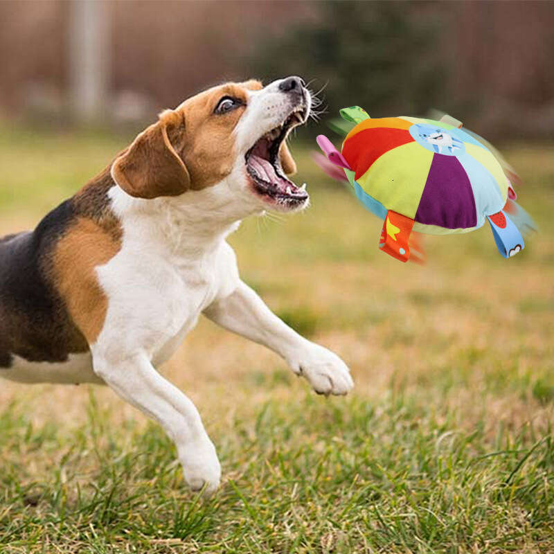 Plush Dog Toy for Border Collie Training: Durable and Sound Interactive
