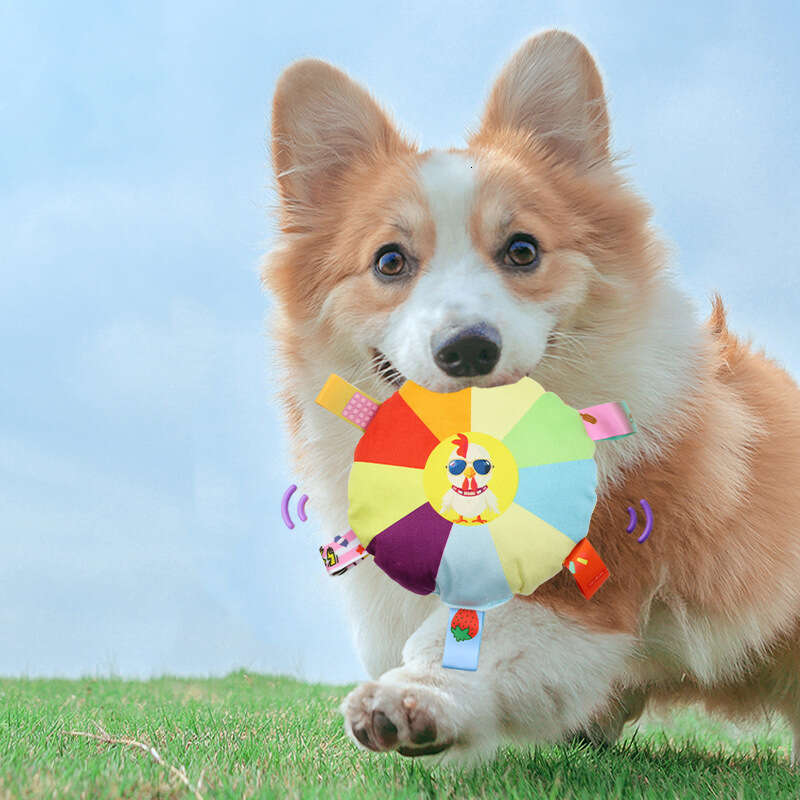 Plush Dog Toy for Border Collie Training: Durable and Sound Interactive