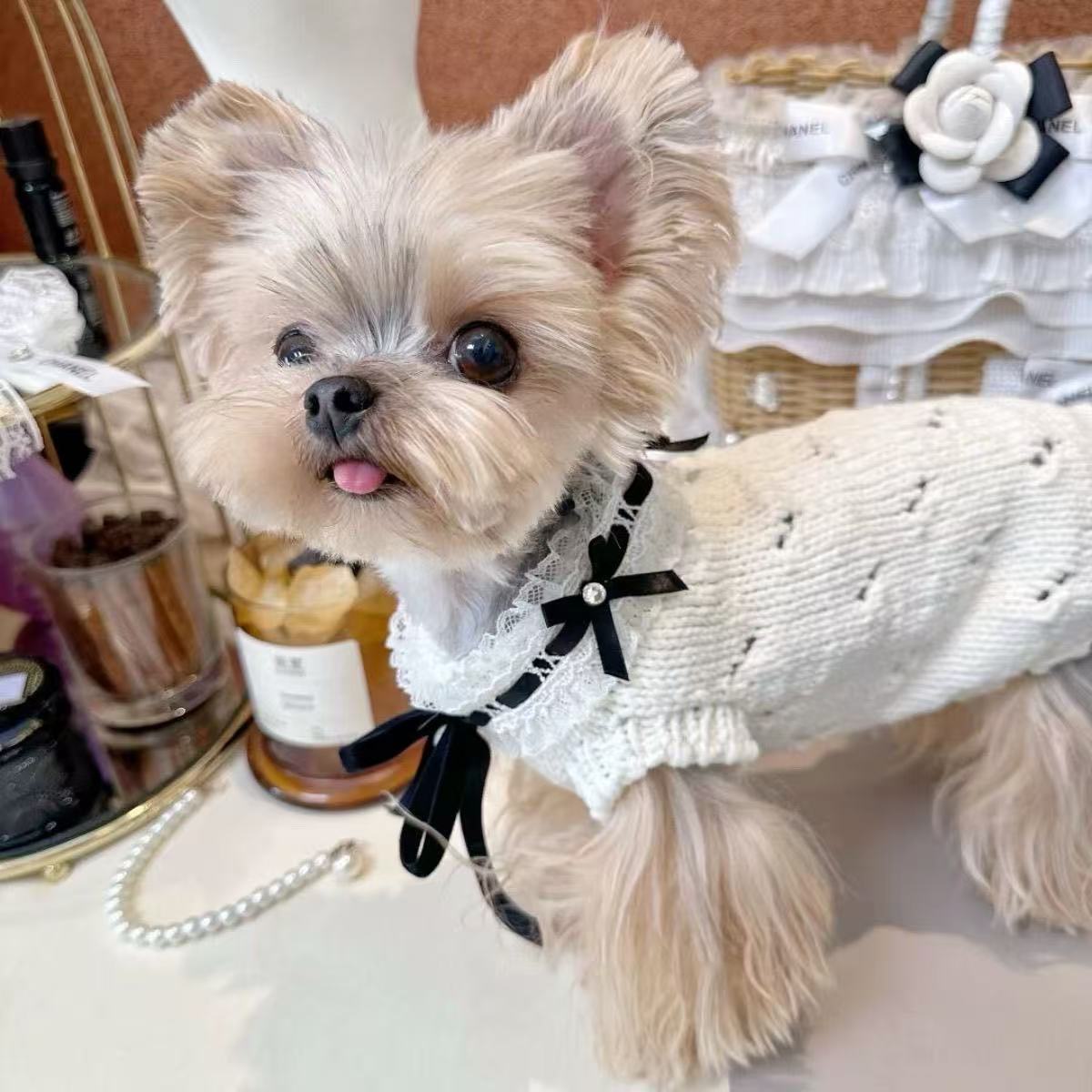 T523 Pet clothes autumn and winter dog clothes Bichon Teddy small dog cat thick warm sweater