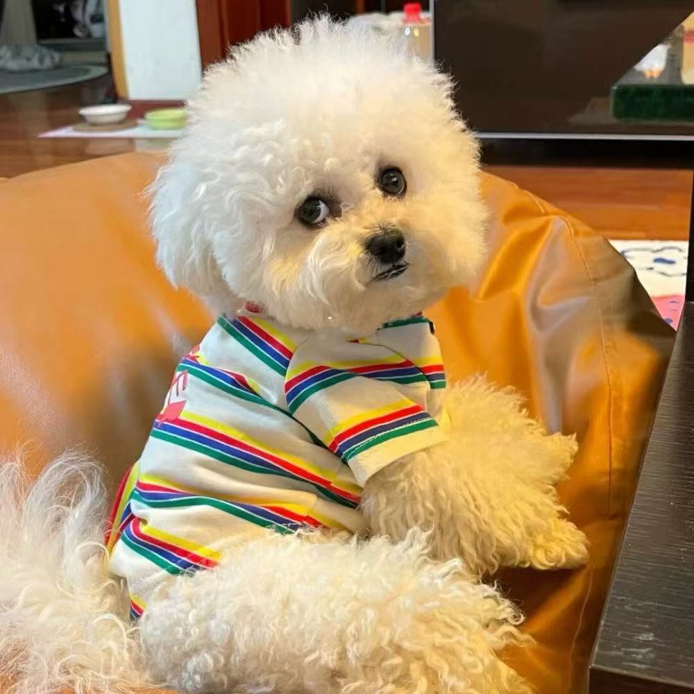 T519 Dog Clothes Summer Teddy Bichon Pomeranian Small Dog Puppy Spring and Autumn Thin Cute Princess Fashion Brand Pet Cat