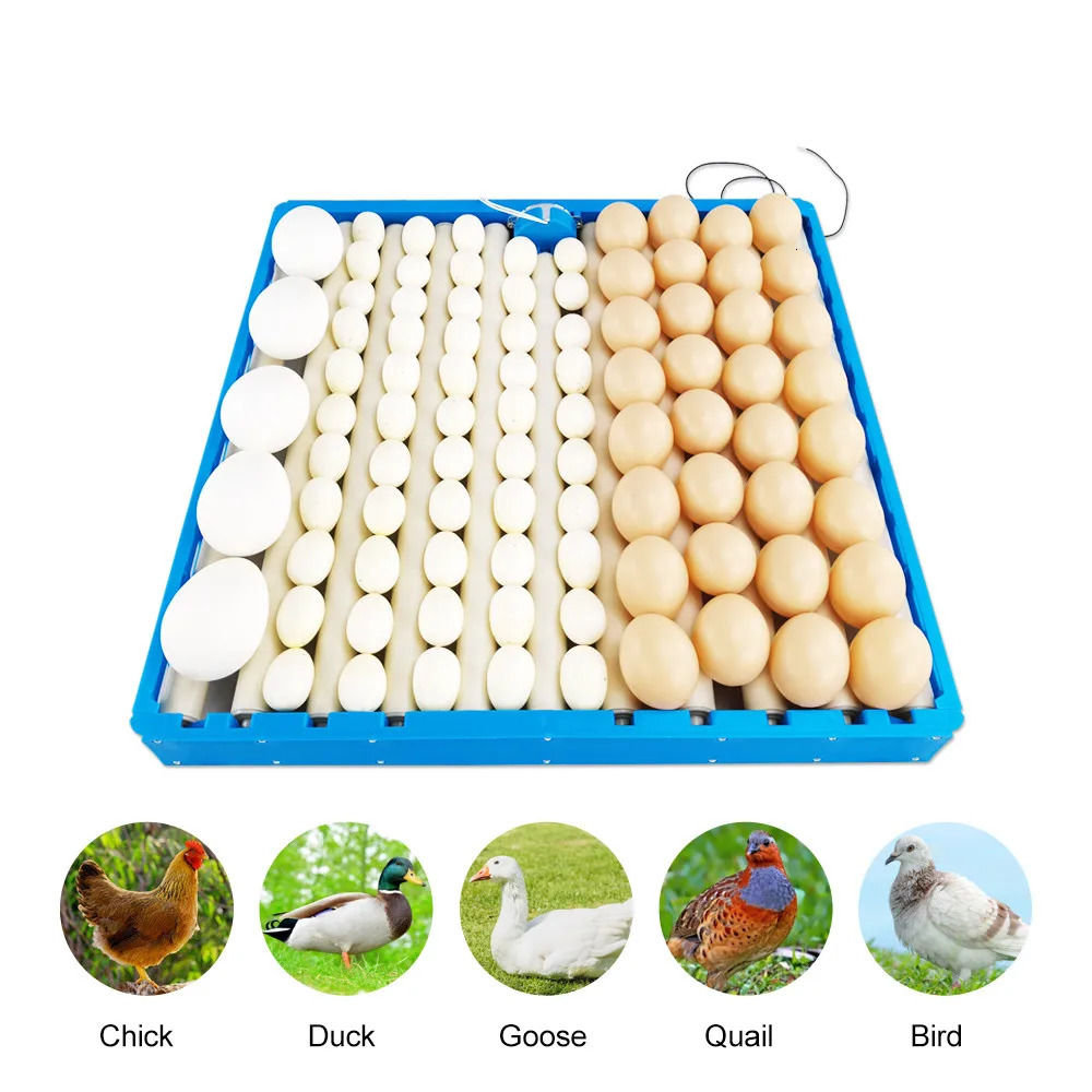 Automatic 360 Degree Rotary Egg Turner Roller Tray 70 Eggs Hatching Incubator Farm Incubation Tool Duck Quail Bird Accessory 250624