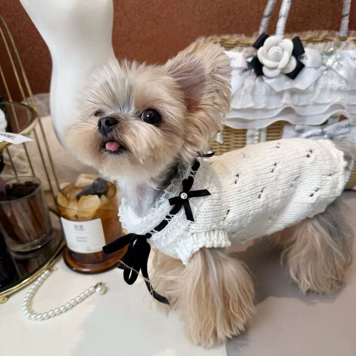 T523 Pet clothes autumn and winter dog clothes Bichon Teddy small dog cat thick warm sweater