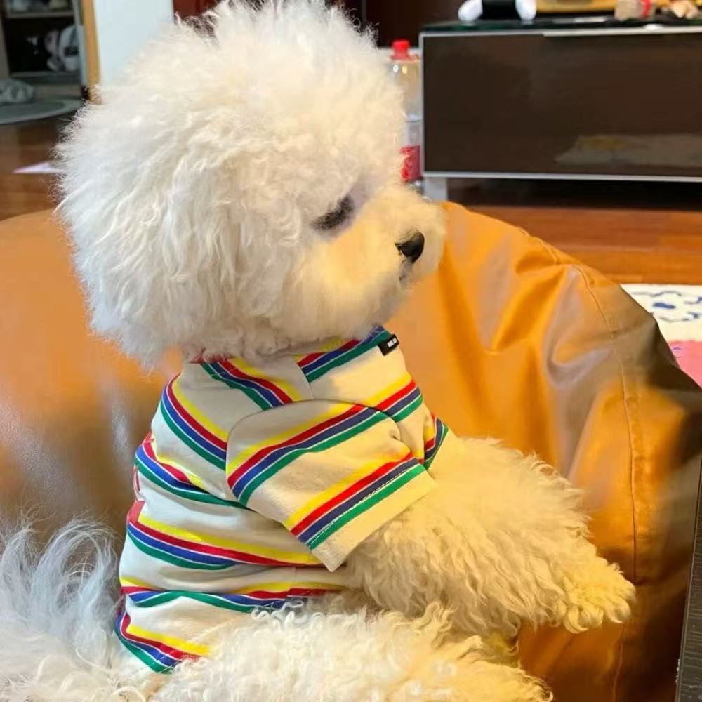 T519 Dog Clothes Summer Teddy Bichon Pomeranian Small Dog Puppy Spring and Autumn Thin Cute Princess Fashion Brand Pet Cat