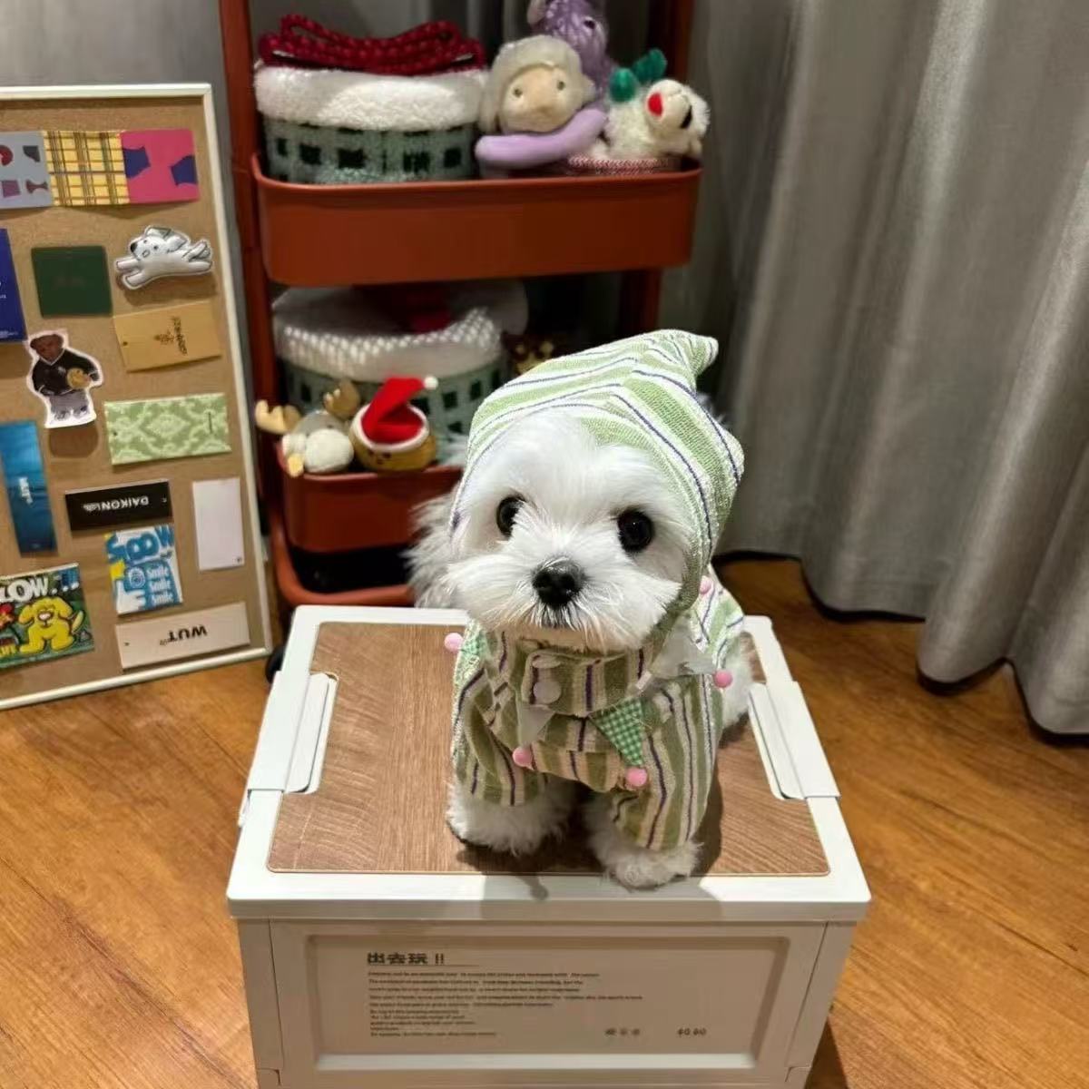 T521Pet dog clothes winter autumn and winter vest warm dachshund teddy small dog medium dog 2024 new