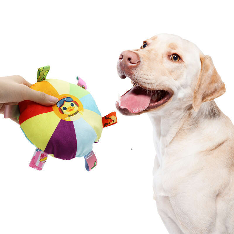 Plush Dog Toy for Border Collie Training: Durable and Sound Interactive