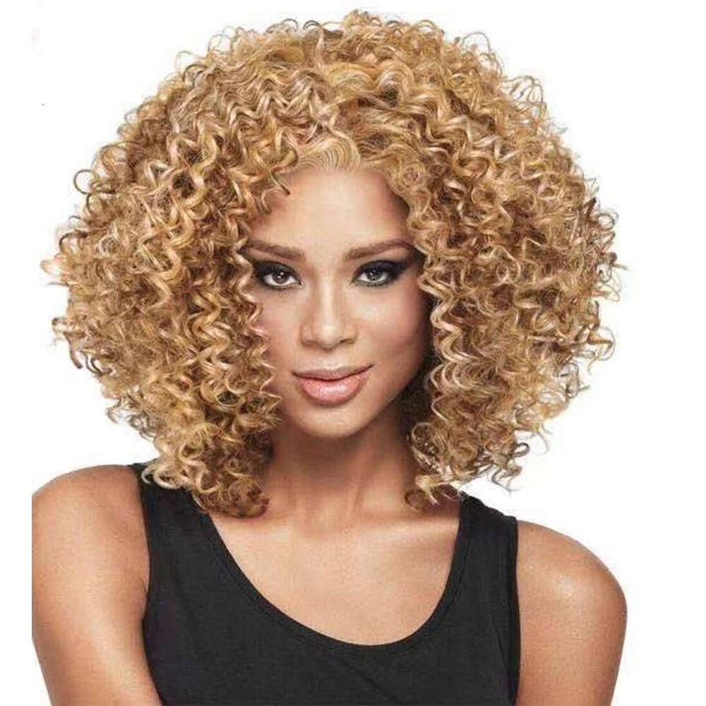 Black Small Curly Side Part Women's Wig Hairpiece