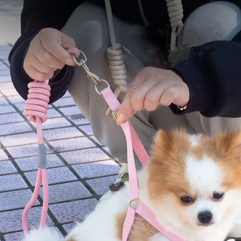 Labubu Dog Leash, Step-in Soft Mesh Puppy Vest with Cute Patterns and Doll Decorations, Breathable Pet Harness for