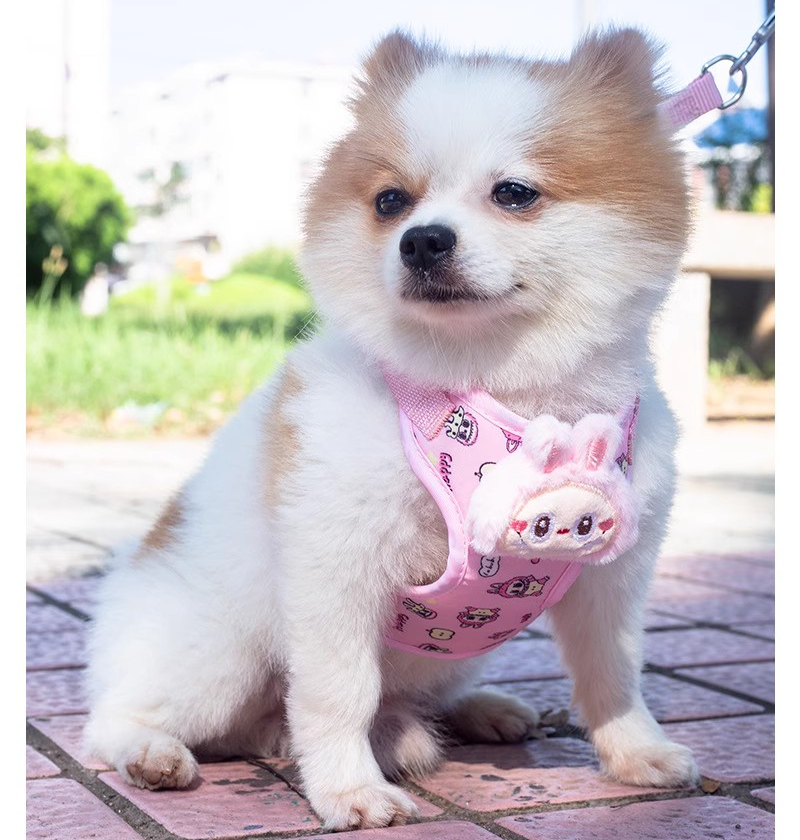 Labubu Dog Leash, Step-in Soft Mesh Puppy Vest with Cute Patterns and Doll Decorations, Breathable Pet Harness for