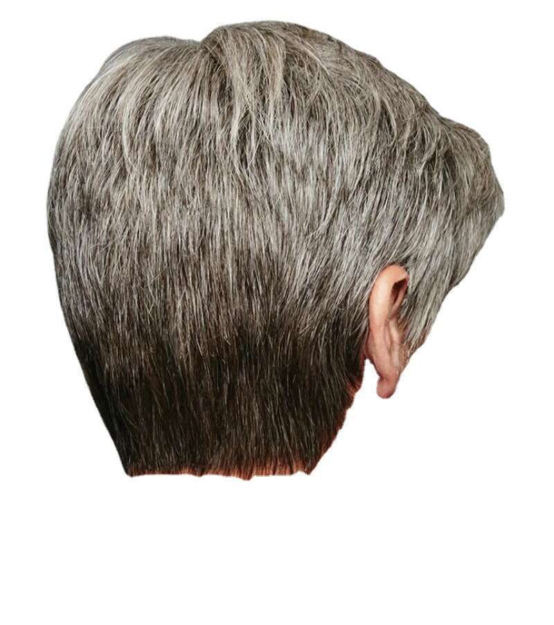 New Men's Brown Gray Side Part Wig For Men