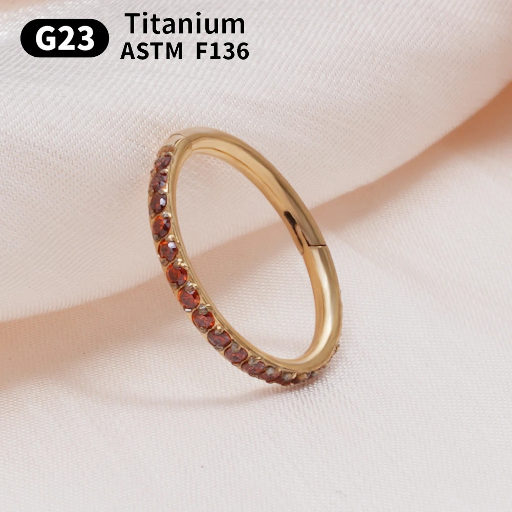 Hoop Nose Ring Earrings Pierced Women Jewelry Crystal Nasal Septum Cartilage Hinge Pitch Nose Ring Lip Fashion 250617