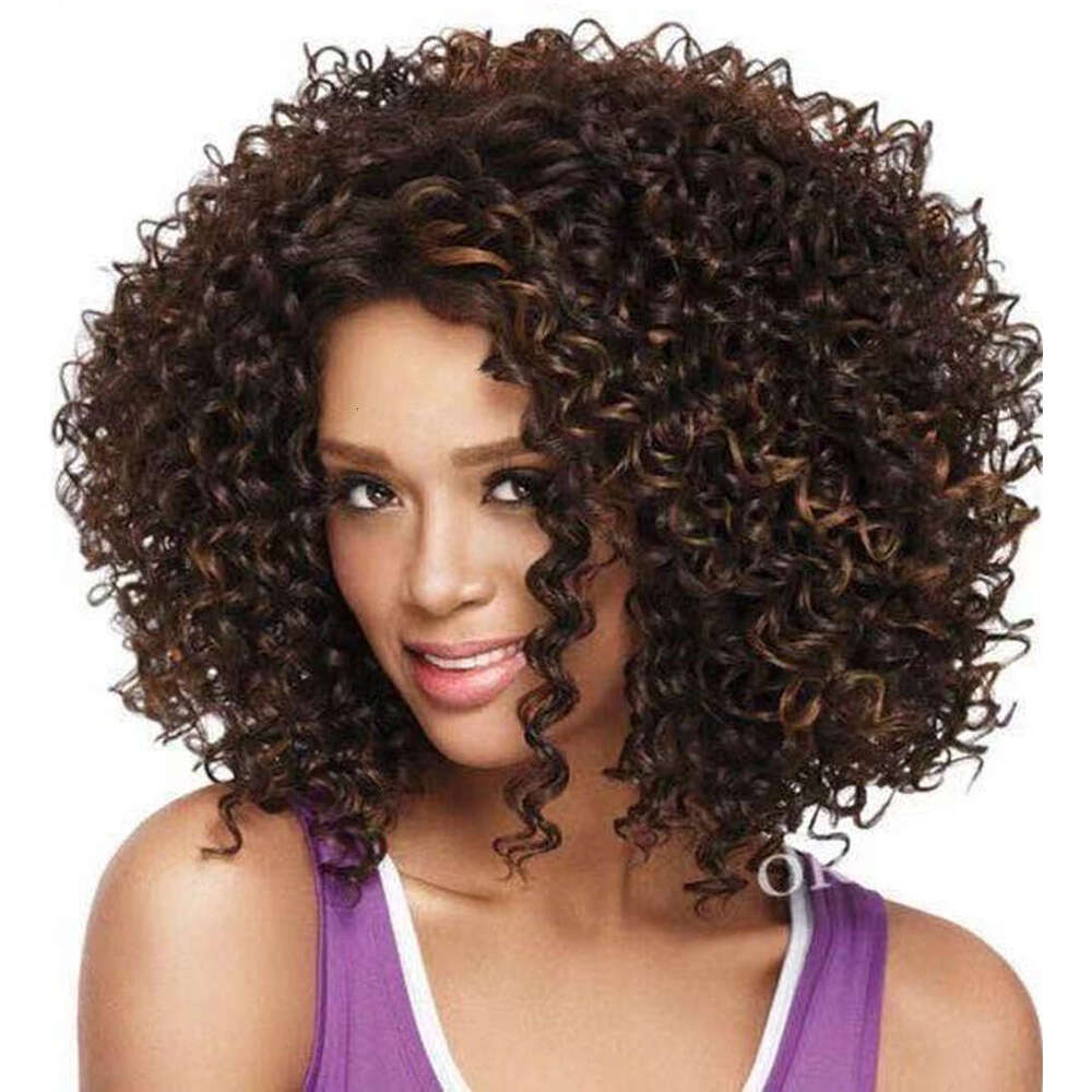 Black Small Curly Side Part Women's Wig Hairpiece