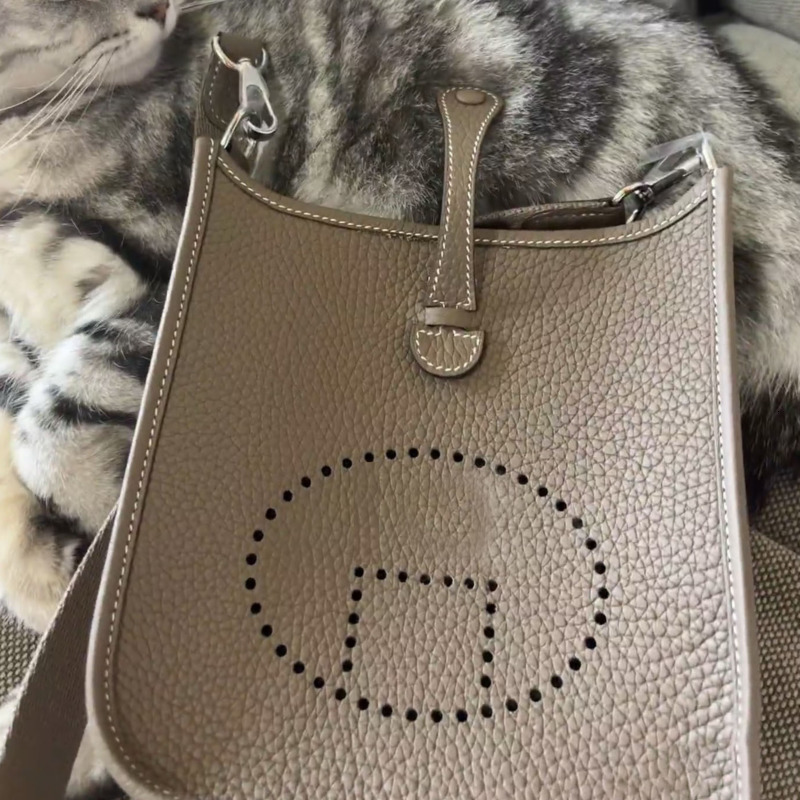 Designer Bags Women Crossbody Bags Luxury High Quality Women Designer Shoulder Bags Leather Crossbody Bags Fashion Women Wallet9