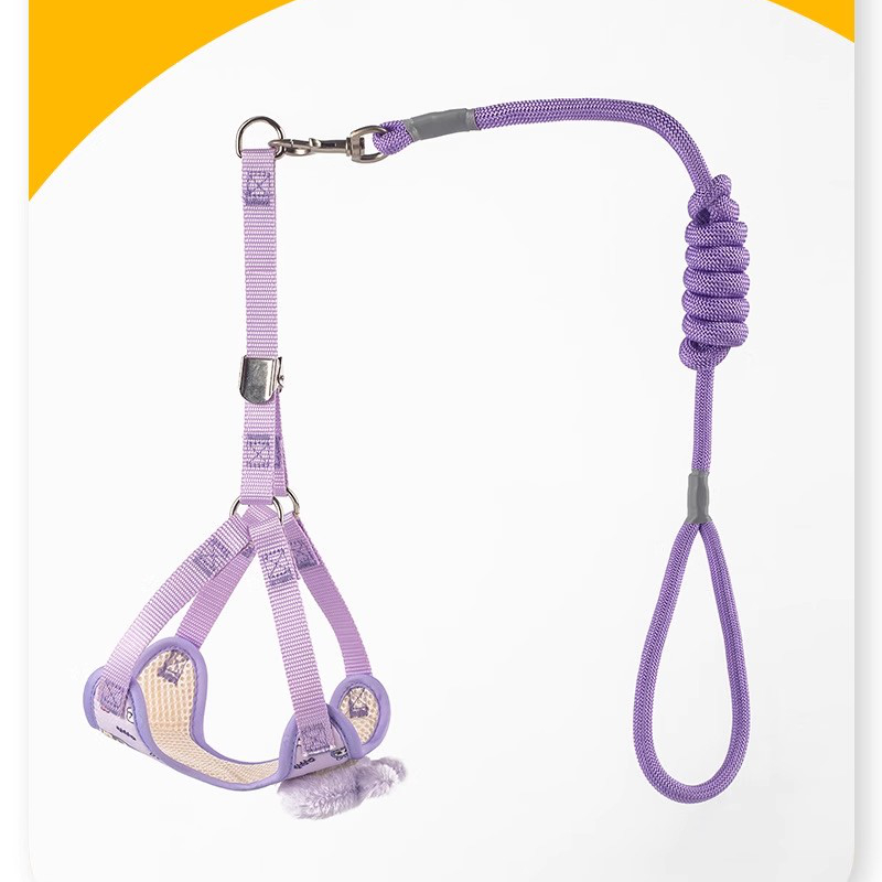 Labubu Dog Leash, Step-in Soft Mesh Puppy Vest with Cute Patterns and Doll Decorations, Breathable Pet Harness for