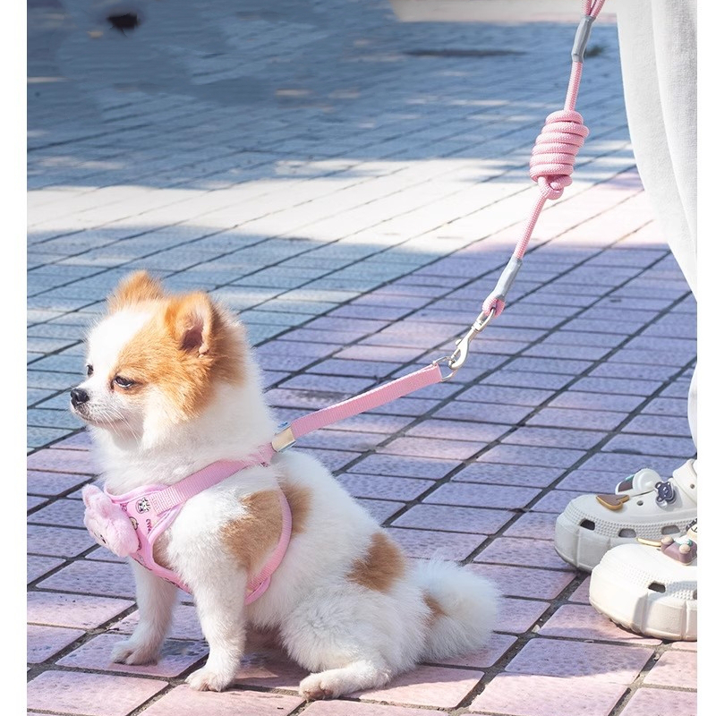 Labubu Dog Leash, Step-in Soft Mesh Puppy Vest with Cute Patterns and Doll Decorations, Breathable Pet Harness for