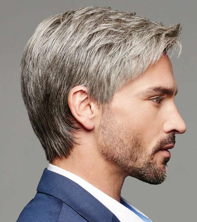 New Men's Brown Gray Side Part Wig For Men