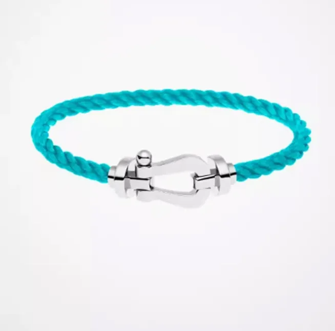 Bangle Horseshoe buckle steel bracelet men fred high-end light luxury niche black braided bracelet for couples gift bracelet for hip-hop women