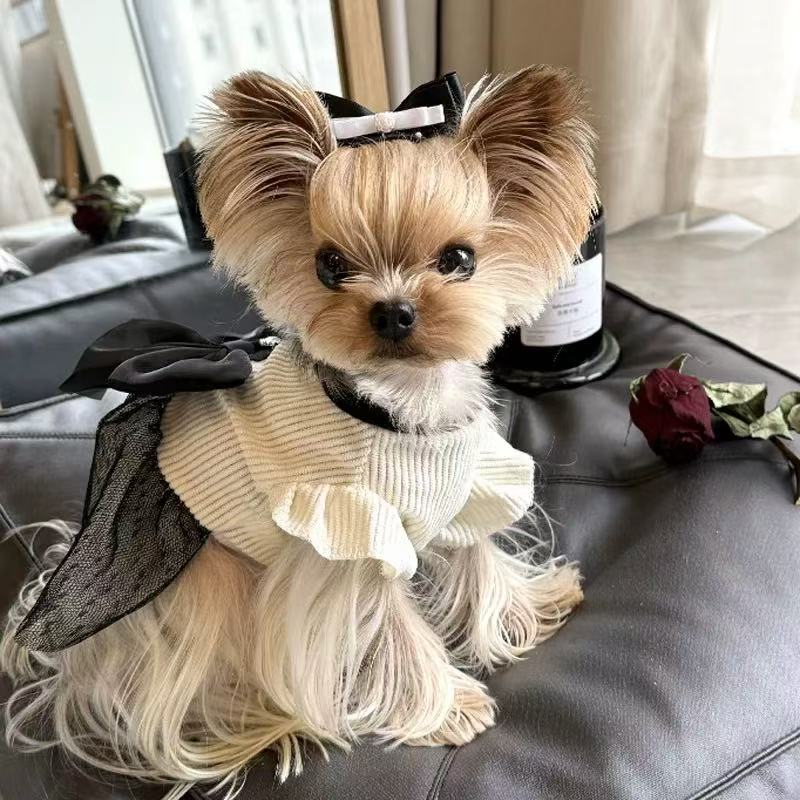 T527 Yorkshire Terrier special clothes Maltese dog dress summer summer thin skirt vest super small dog