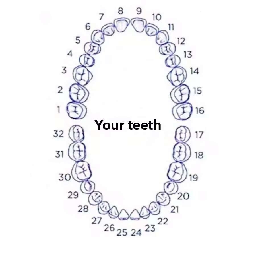 925 Sterling Silver Custom Hip Hop Tooth Jewelry Iced Out Vvs Moissanite Diamond Grillz for Men Rapper Teeth