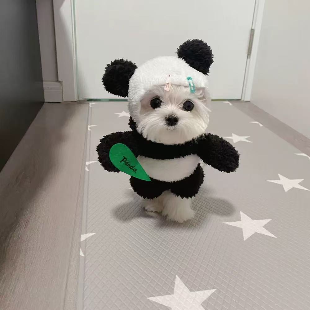 T516Funny and weird clothes for pet dogs Yorkshire terrier Maltese Bichon Panda autumn and winter clothing for small puppies