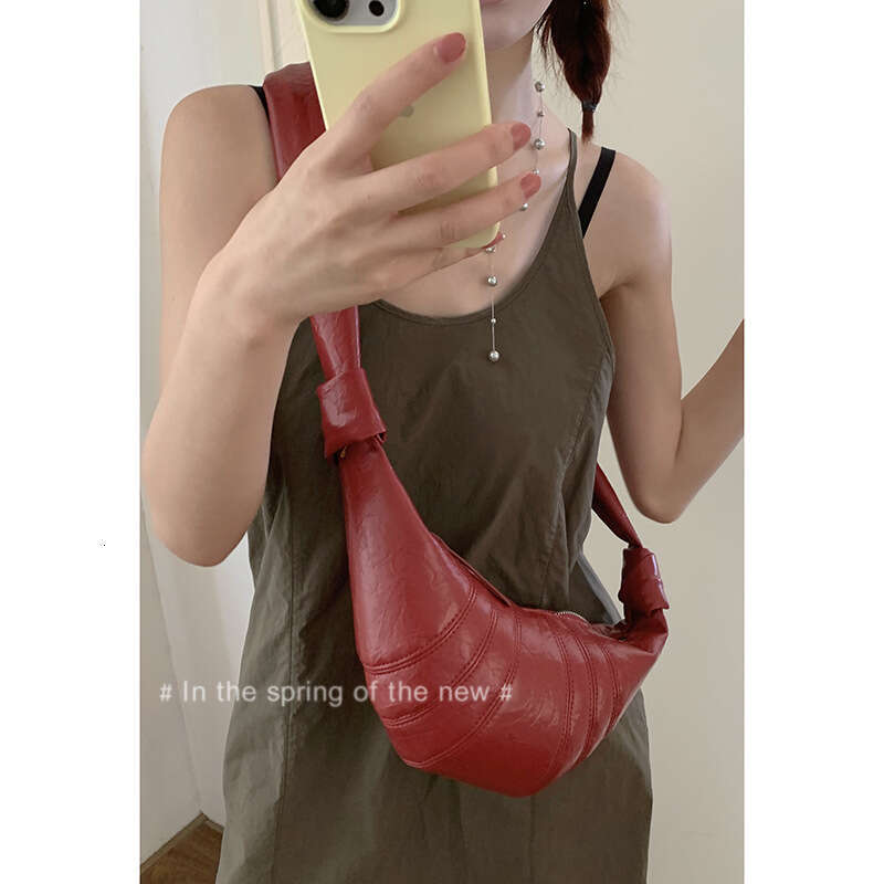 designer bag French Style Niche Texture Underarm for Women 2024 New Dumpling Fashion Single Shoulder Crossbody Bag