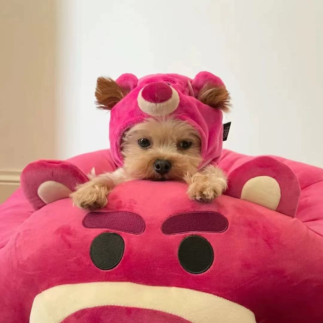 T525 Dog Hat Cute Strawberry Bear Puppy Pomeranian Schnauzer Yorkshire Internet Celebrity Warm Pet Kitten Headgear