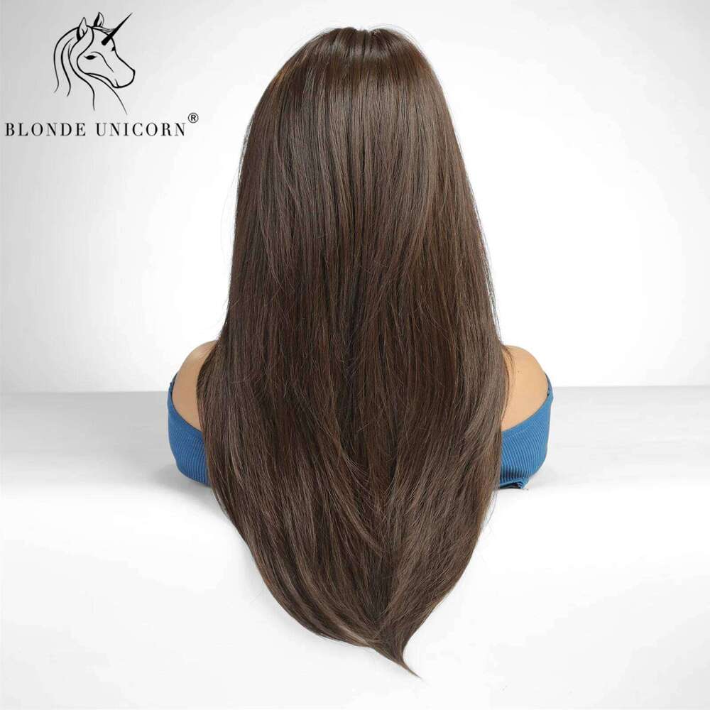 13x6 Lace Front Wig Brown Straight Synthetic Wigs for Black White Women Daily Party Cosplay Heat Resistant Hair