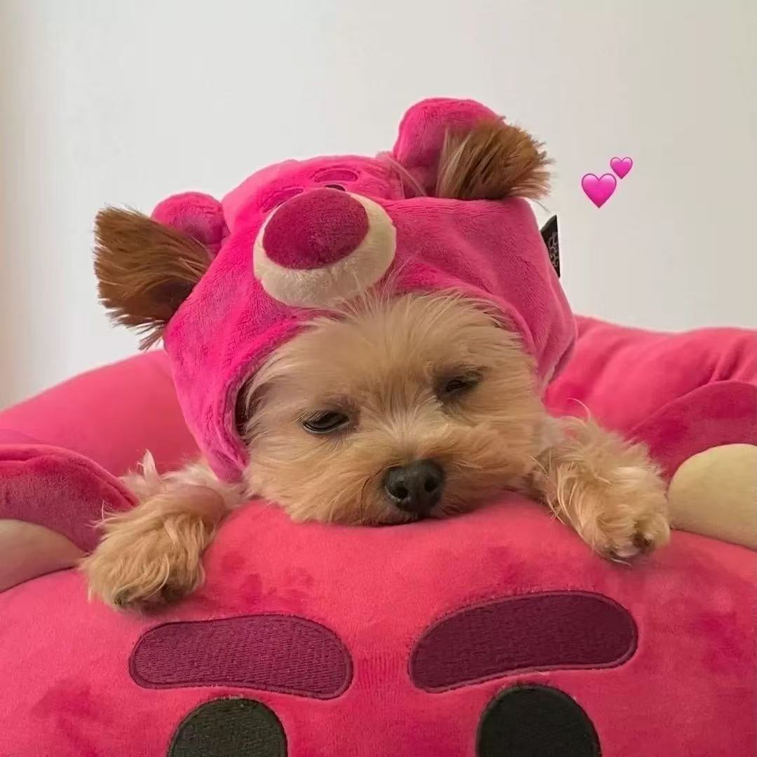 T525 Dog Hat Cute Strawberry Bear Puppy Pomeranian Schnauzer Yorkshire Internet Celebrity Warm Pet Kitten Headgear