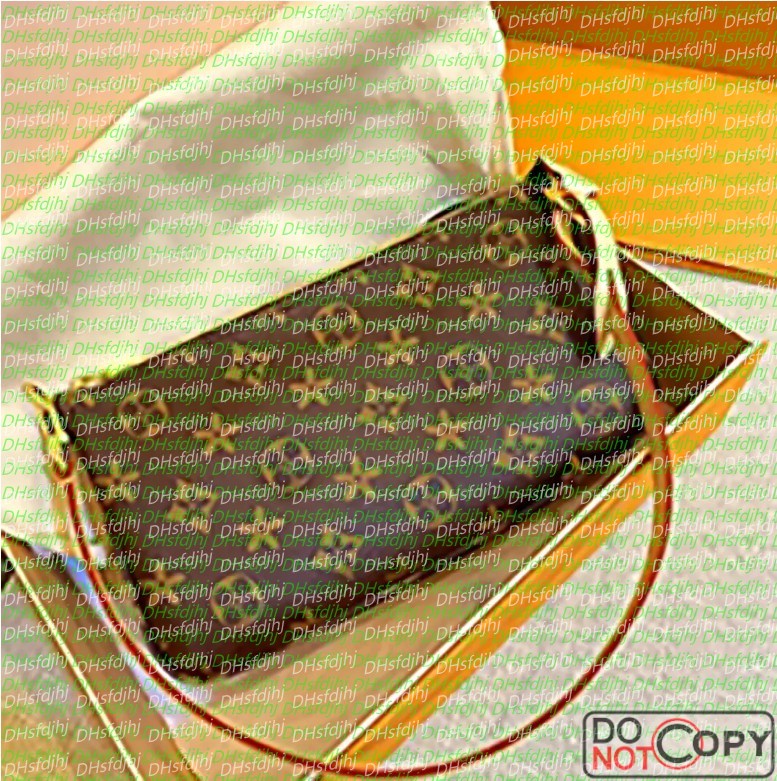 10A quality Luxury Designer Women Messenger Evening Bags Fashion Women Brown Shoulder Bag Lady Totes Purse Handbags Female Backpack Wallet Female wallet